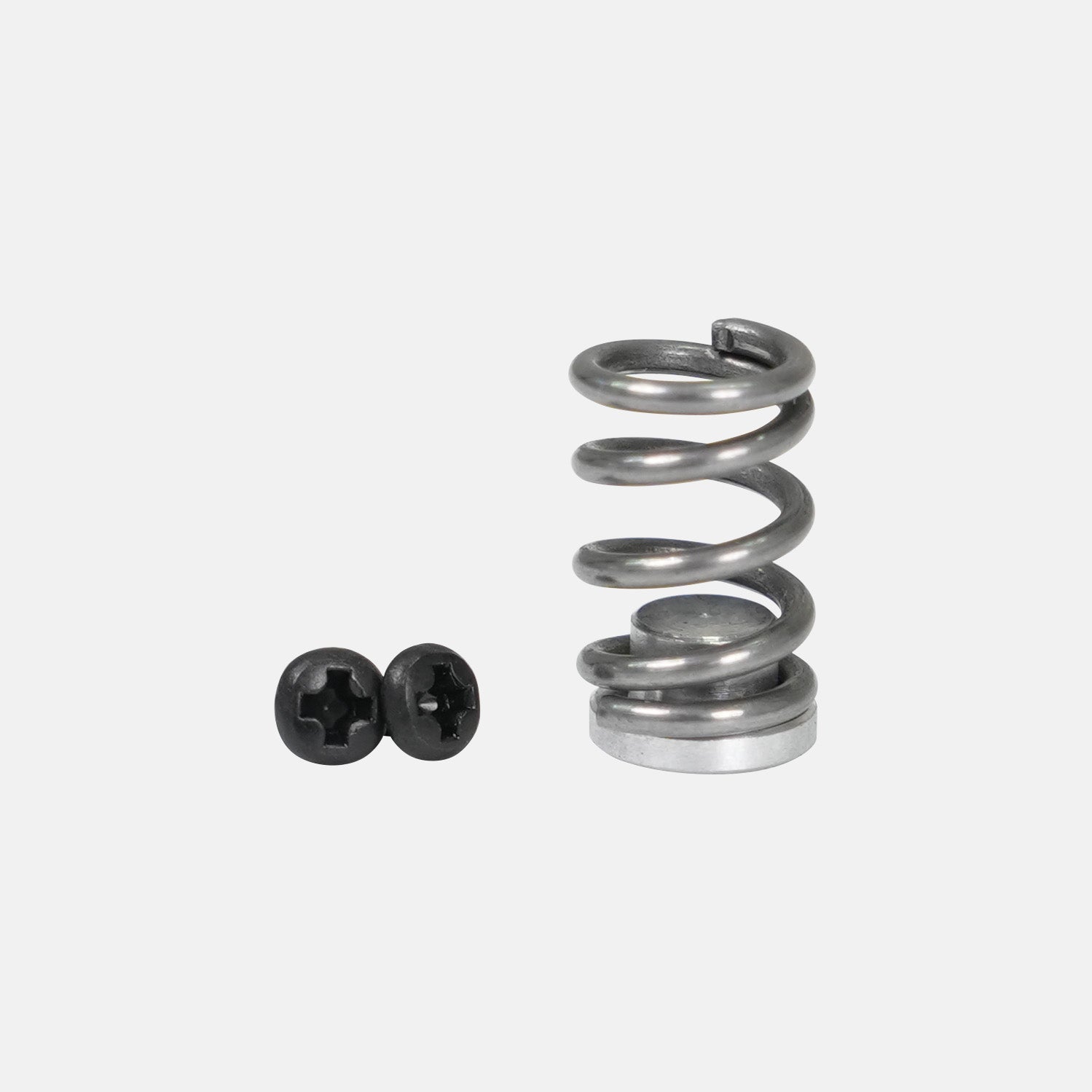 Screws & Spring Kit - M1